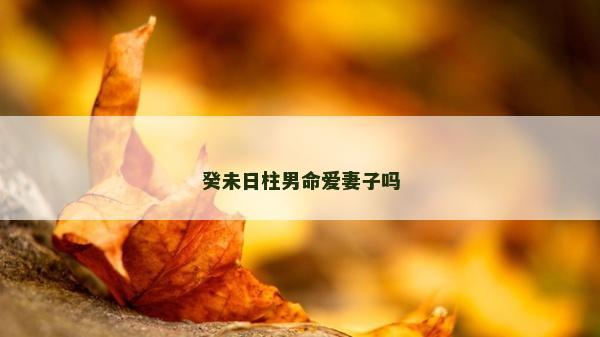 癸未日柱男命愛妻子嗎