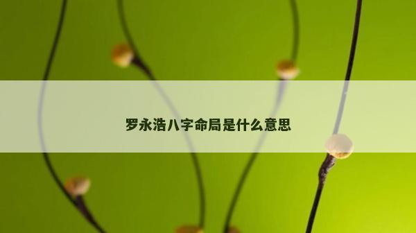 羅永浩八字命局是什么意思