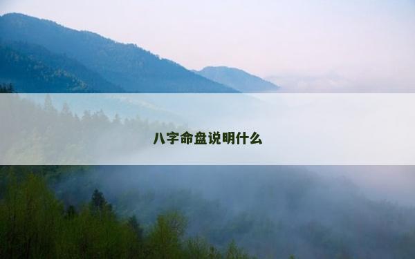 八字命盤說明什么