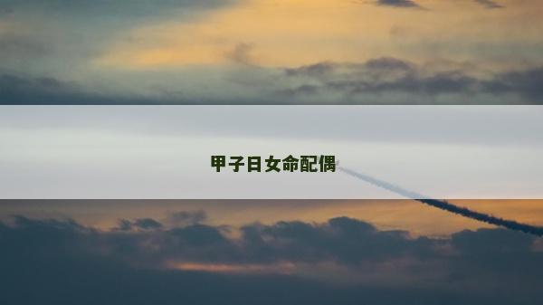 甲子日女命配偶