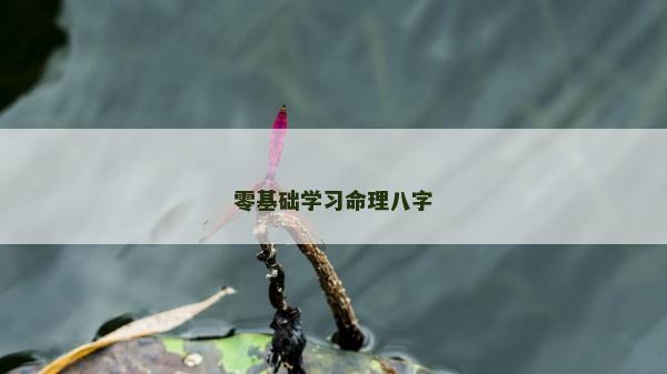 零基礎學習命理八字