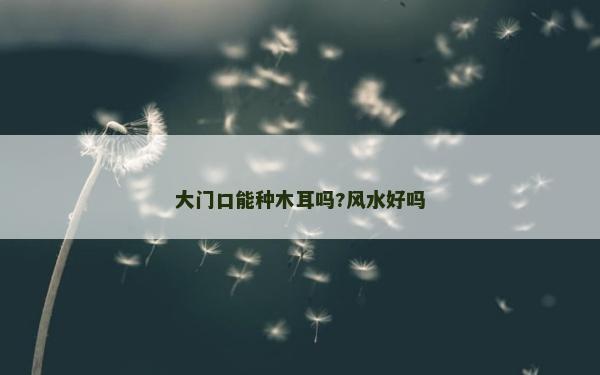 大門(mén)口能種木耳嗎?風(fēng)水好嗎