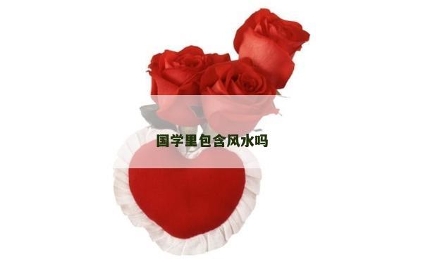 國學里包含風水嗎