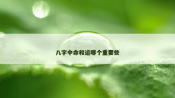 八字中命和運哪個重要些