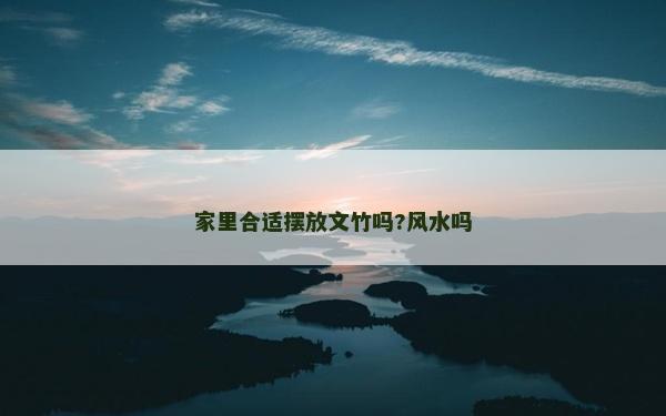 家里合適擺放文竹嗎?風水嗎