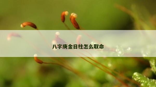 八字庚金日柱怎么取命