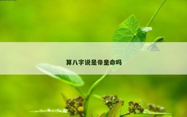 算八字說是帝皇命嗎