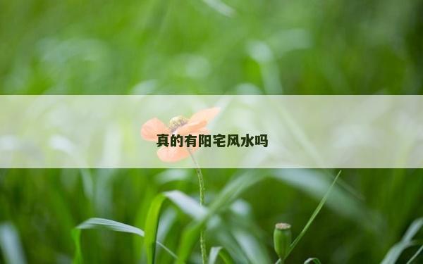 真的有陽宅風水嗎