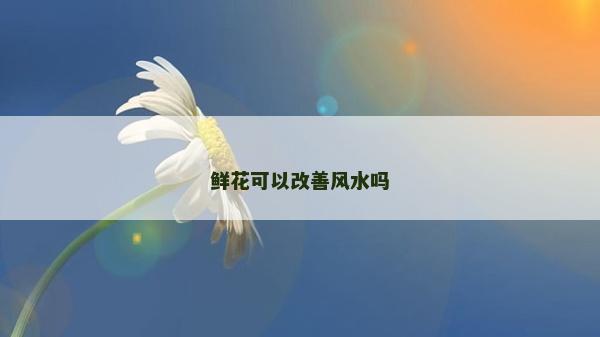 鮮花可以改善風水嗎
