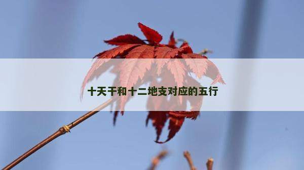 十天干和十二地支對(duì)應(yīng)的五行