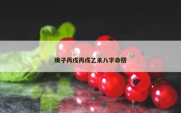 庚子丙戌丙戌乙未八字命格