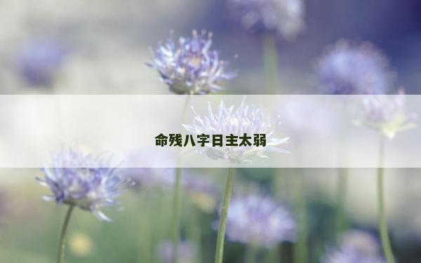 命殘八字日主太弱