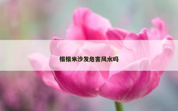 榻榻米沙發危害風水嗎