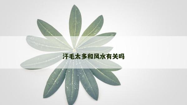汗毛太多和風(fēng)水有關(guān)嗎