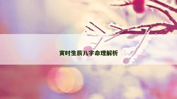 寅時生辰八字命理解析