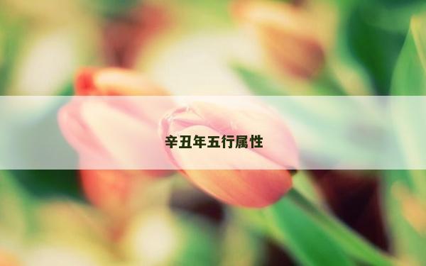辛丑年五行屬性