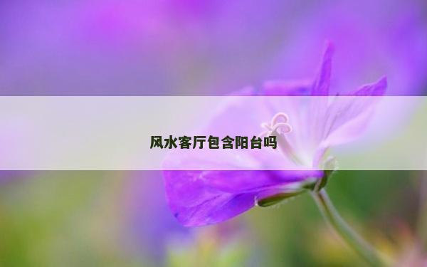 風水客廳包含陽臺嗎