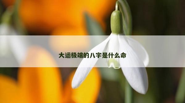 大運極端的八字是什么命