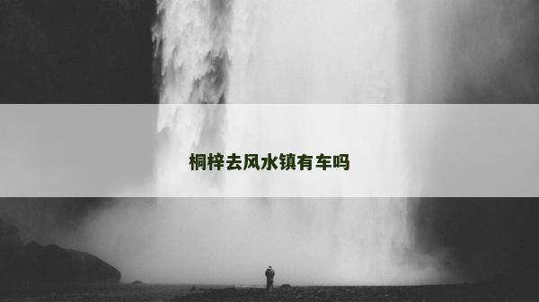 桐梓去風水鎮有車嗎