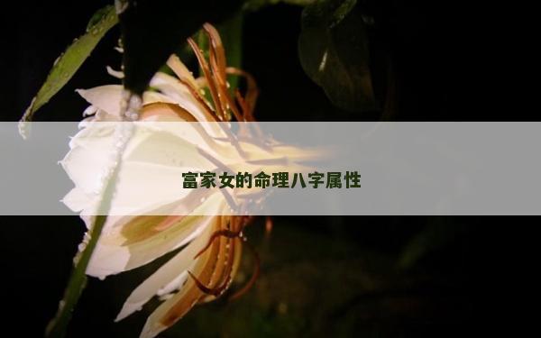 富家女的命理八字屬性