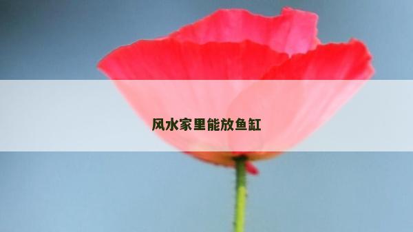 風水家里能放魚缸