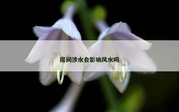 房間涉水會影響風水嗎