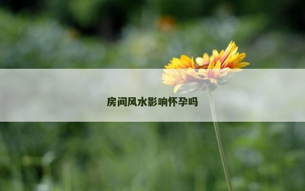 房間風水影響懷孕嗎