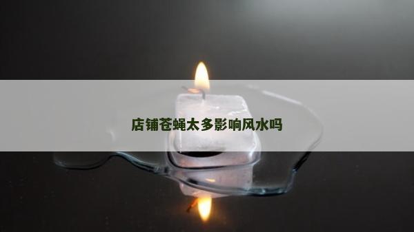 店鋪蒼蠅太多影響風水嗎