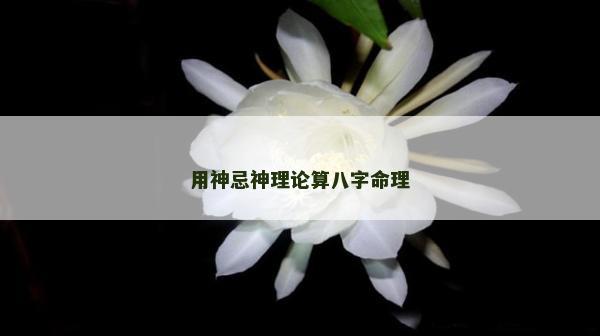 用神忌神理論算八字命理