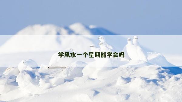 學風水一個星期能學會嗎