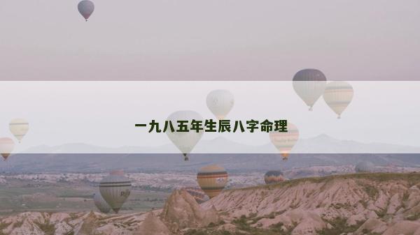 一九八五年生辰八字命理