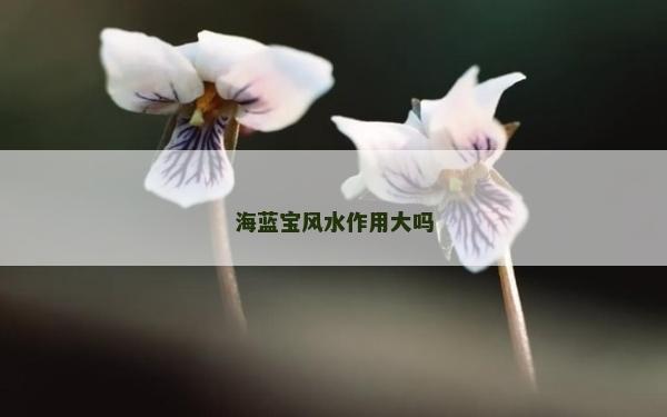 海藍(lán)寶風(fēng)水作用大嗎