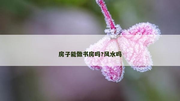 房子能做書房嗎?風水嗎 房子能做書房嗎?風水嗎