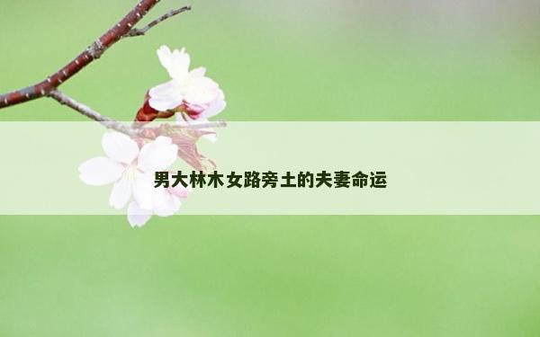 男大林木女路旁土的夫妻命運 男大林木女路旁土的夫妻命運