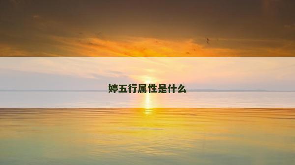 婷五行屬性是什么 婷五行屬性是什么