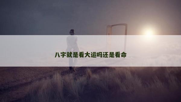 八字就是看大運嗎還是看命