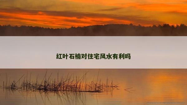 紅葉石楠對住宅風(fēng)水有利嗎