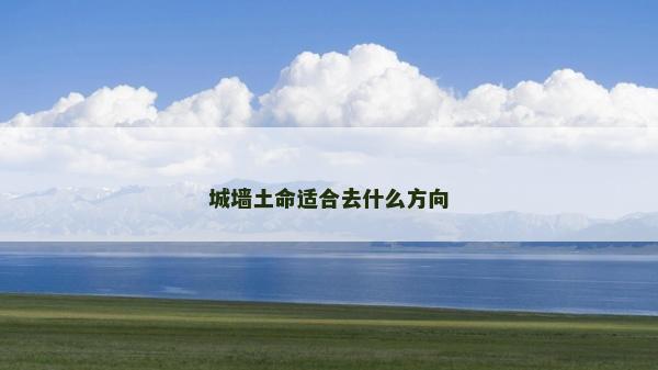 城墻土命適合去什么方向