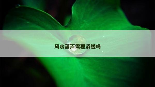 風水葫蘆需要消磁嗎 風水葫蘆需要消磁嗎