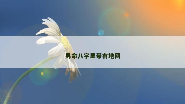 男命八字里帶有地網
