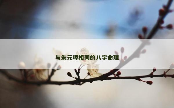 與朱元璋相同的八字命理