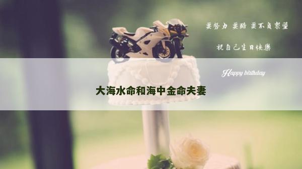 大海水命和海中金命夫妻