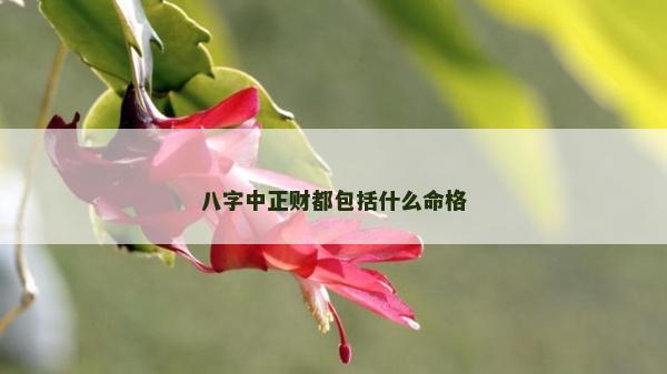 八字中正財都包括什么命格