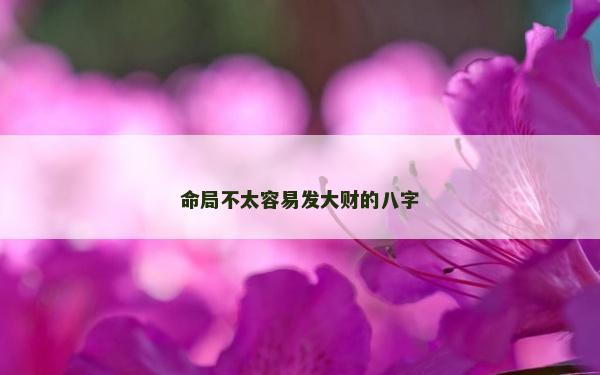 命局不太容易發大財的八字