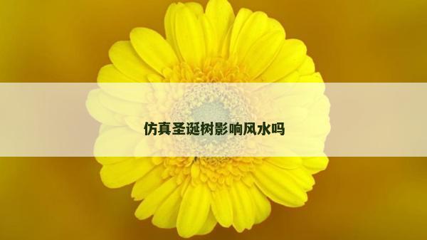 仿真圣誕樹影響風水嗎