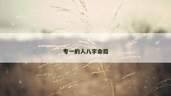專一的人八字命局