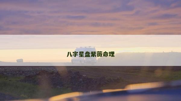 八字星盤紫薇命理