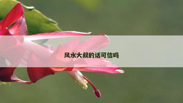 風水大叔的話可信嗎 風水大叔的話可信嗎
