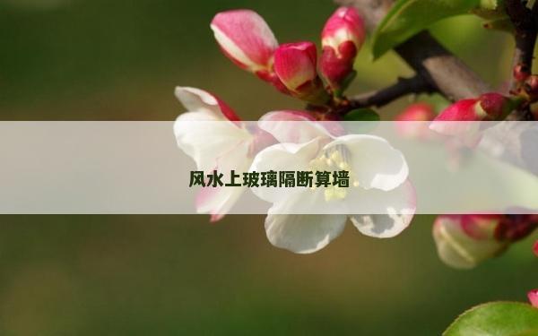 風(fēng)水上玻璃隔斷算墻