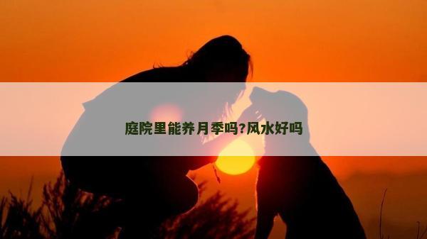 庭院里能養(yǎng)月季嗎?風(fēng)水好嗎